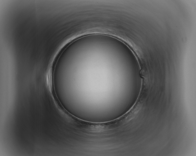 X0000102371515200808011503