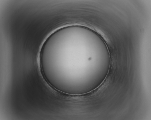 X0000102371516200808011503