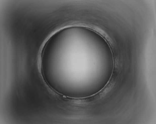 X0000102371520200808011503