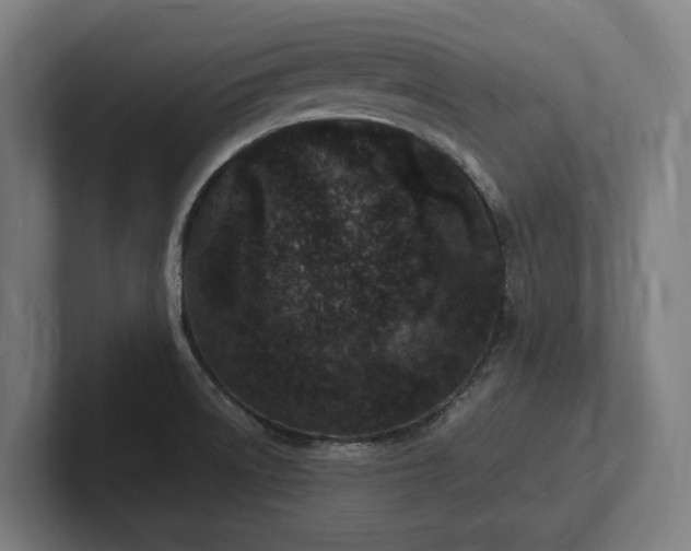 X0000102371522200808011503