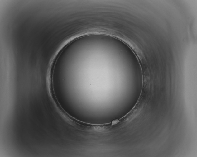 X0000102371523200808011503