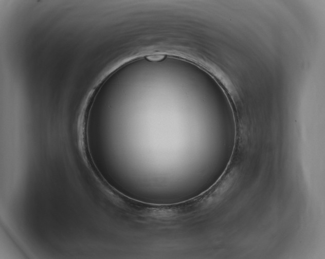 X0000102371525200808011503