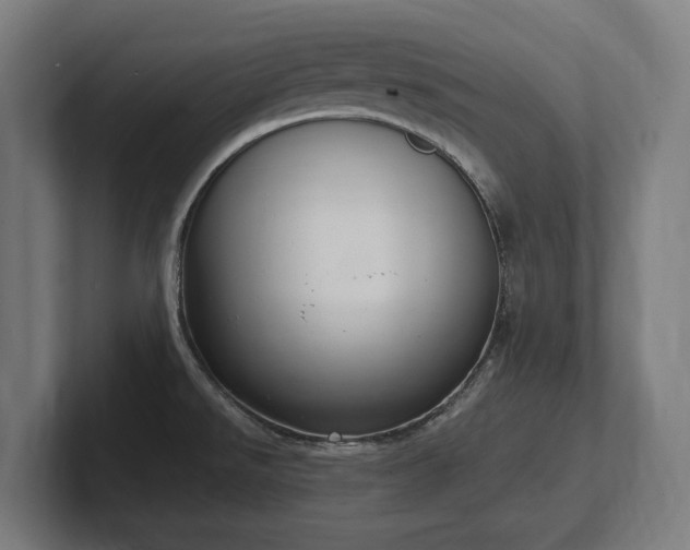 X0000102371526200808011503