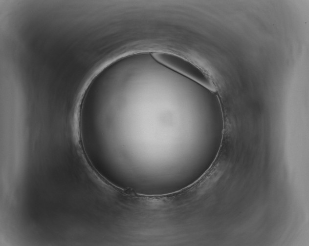 X0000102371528200808011503