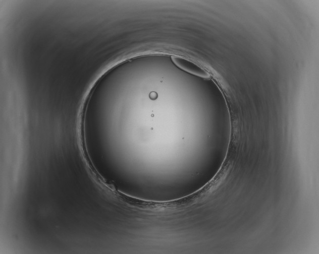 X0000102371530200808011503