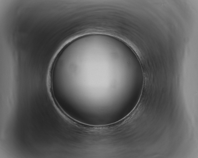 X0000102371531200808011503