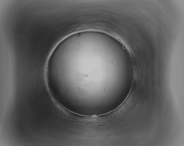 X0000102371532200808011503