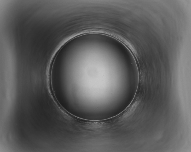 X0000102371533200808011503