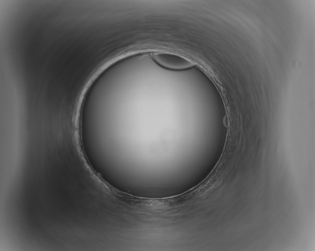 X0000102371536200808011503