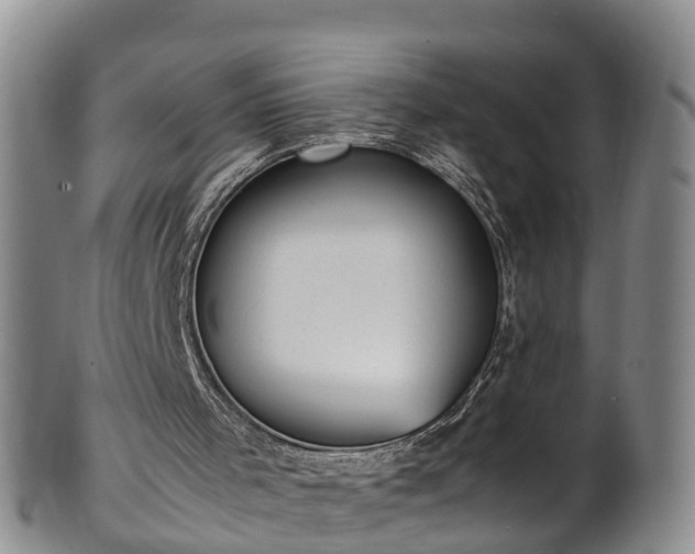 X0000102370001200808081203