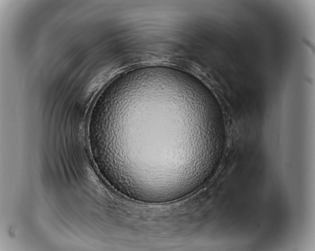 X0000102370002200808081203