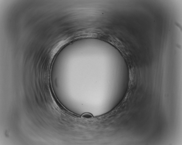 X0000102370003200808081203