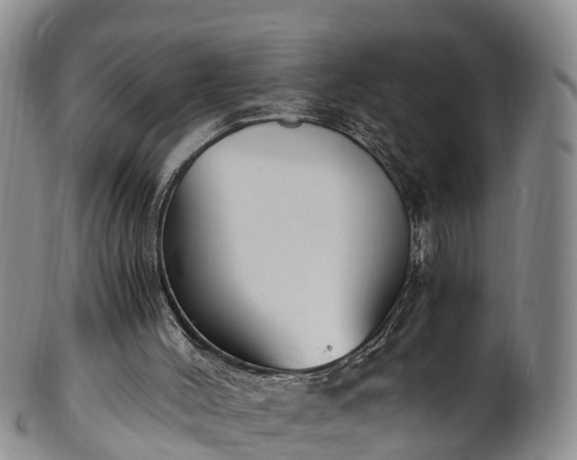 X0000102370004200808081203