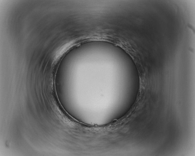 X0000102370005200808081203