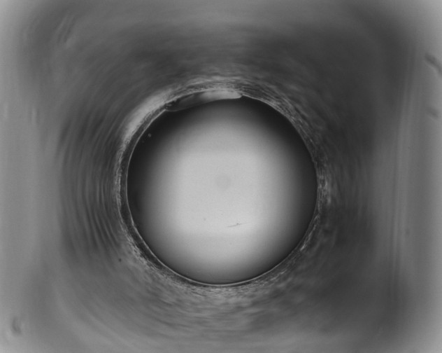 X0000102370006200808081203