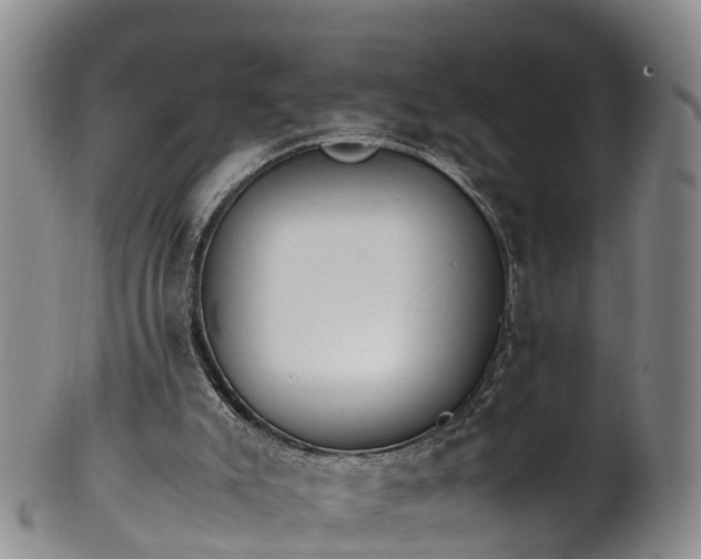 X0000102370007200808081203