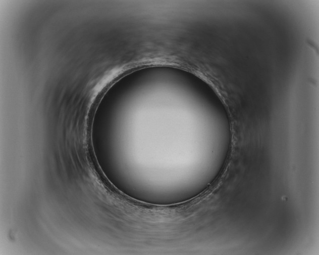 X0000102370008200808081203