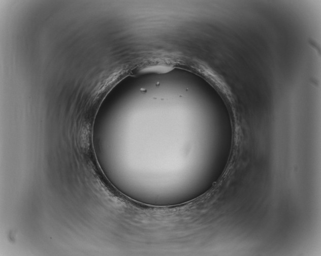 X0000102370009200808081203