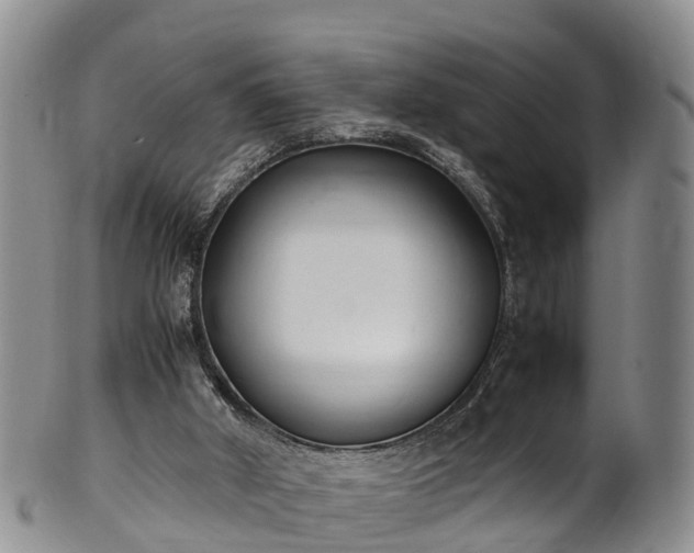 X0000102370010200808081203