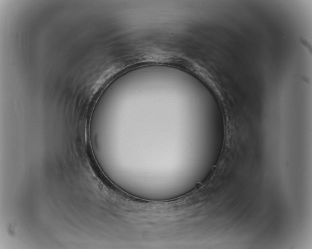 X0000102370011200808081203