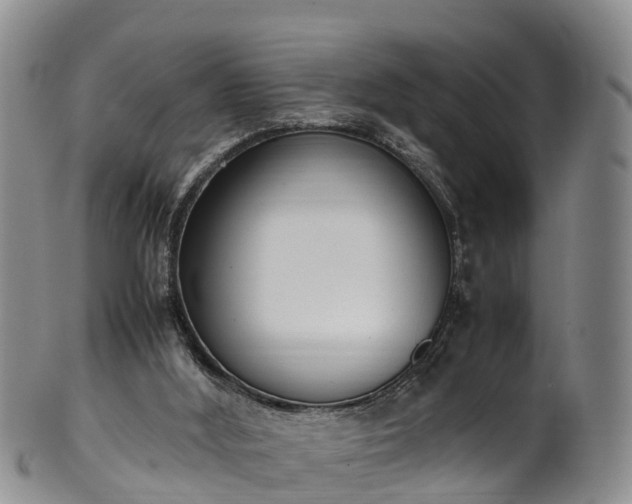 X0000102370012200808081203