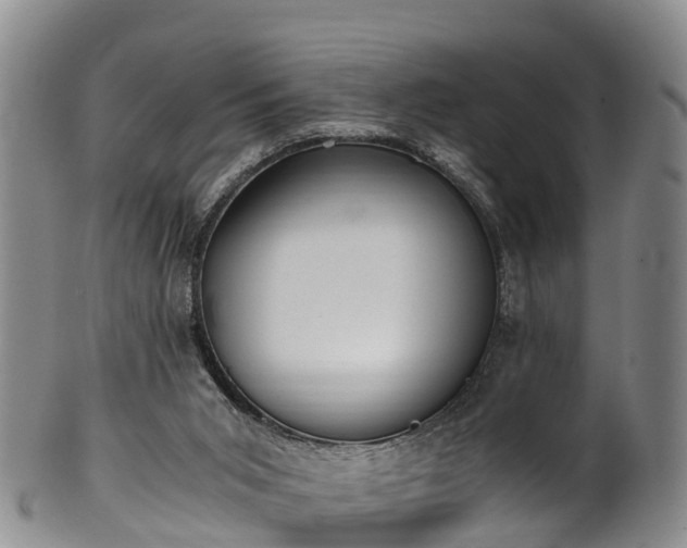 X0000102370015200808081203