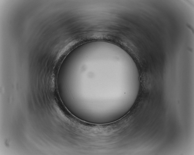 X0000102370016200808081203