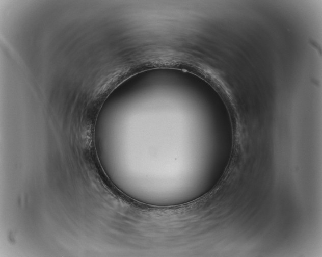 X0000102370017200808081203