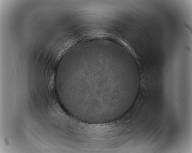 X0000102370018200808081203