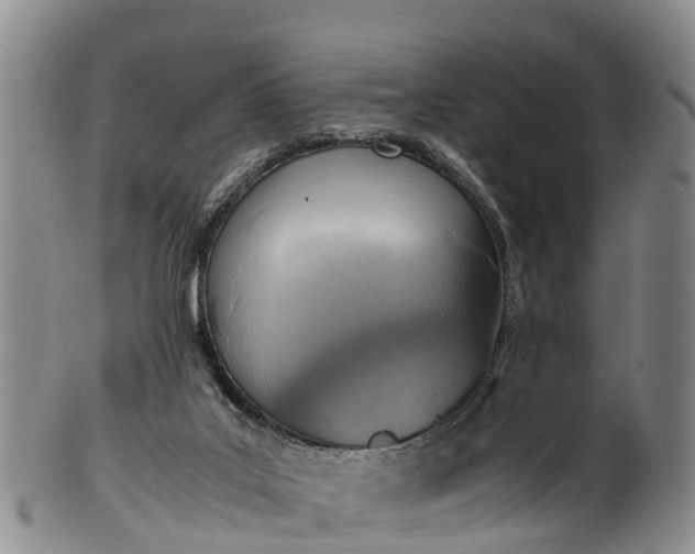 X0000102370019200808081203