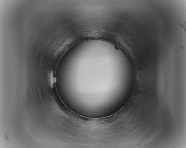 X0000102370020200808081203