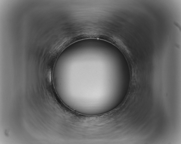 X0000102370021200808081202