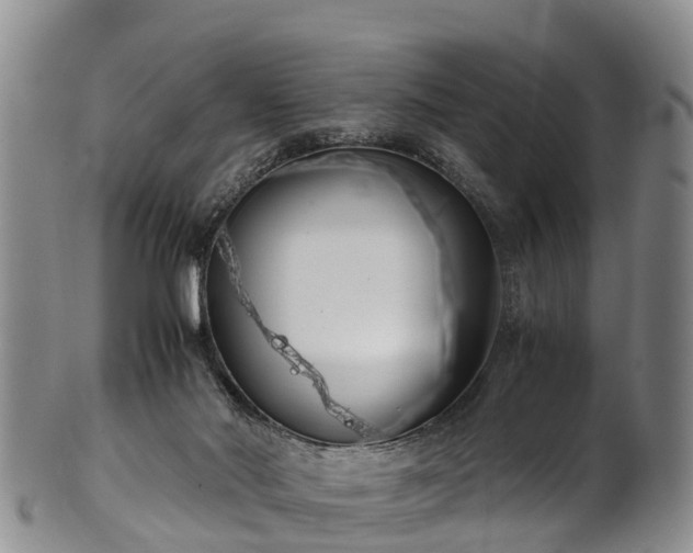 X0000102370022200808081202