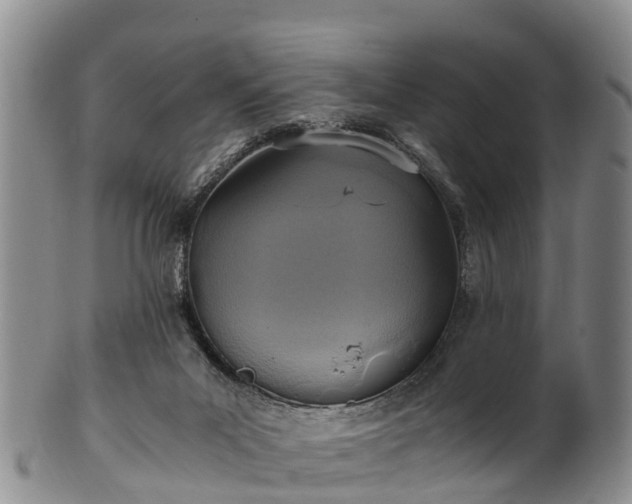 X0000102370023200808081202