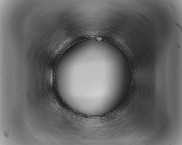 X0000102370024200808081202