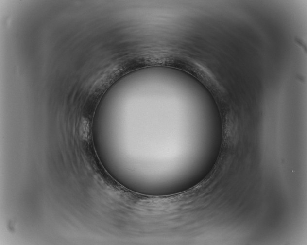 X0000102370025200808081202