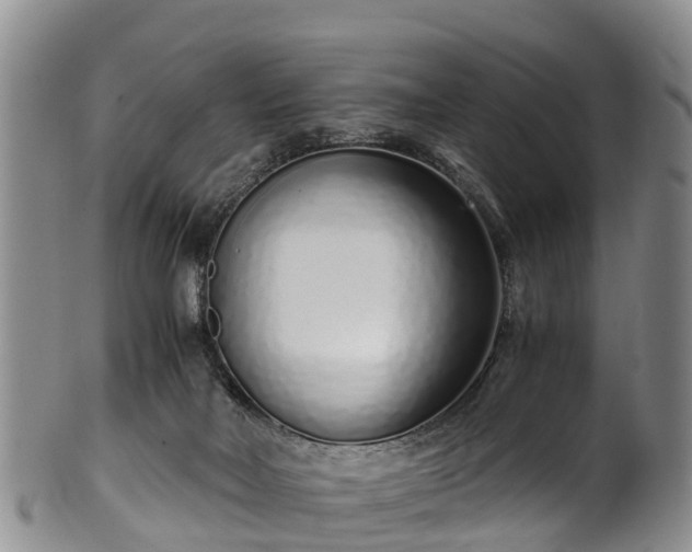 X0000102370026200808081202