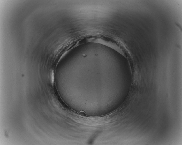 X0000102370027200808081202