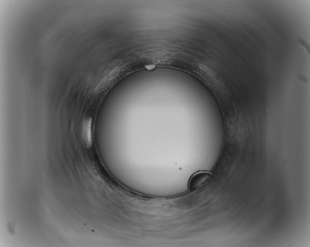 X0000102370028200808081202