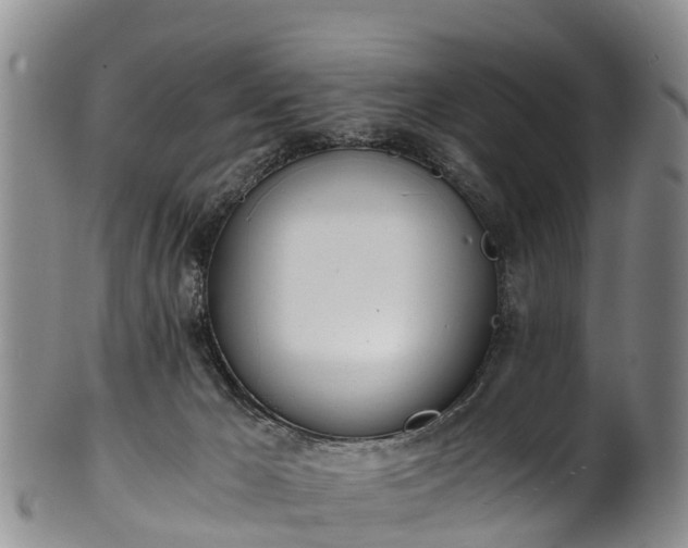 X0000102370029200808081202