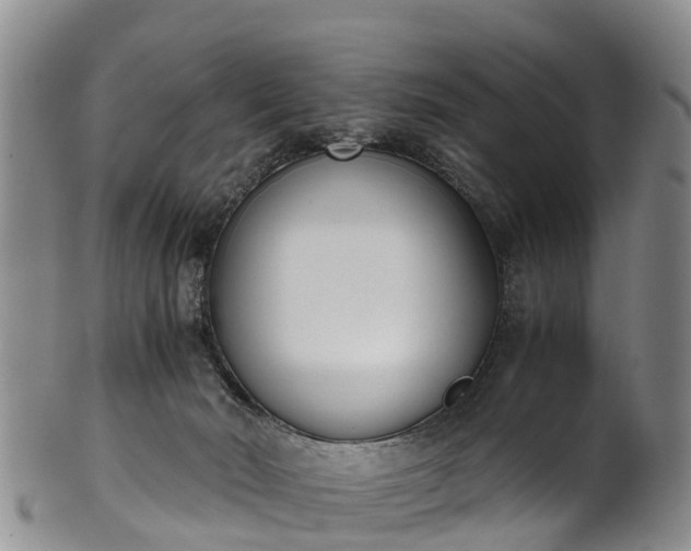 X0000102370030200808081202