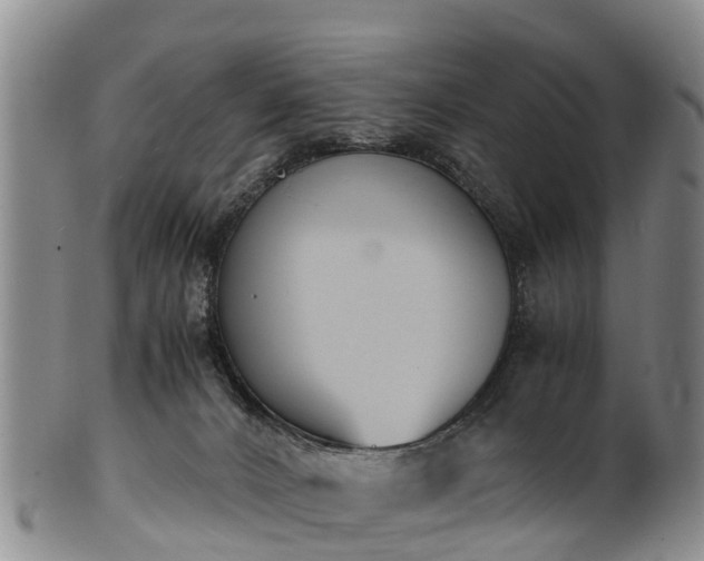 X0000102370032200808081202