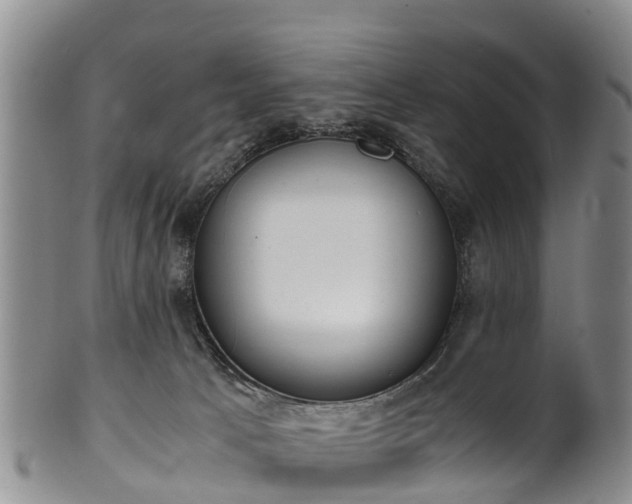 X0000102370033200808081202