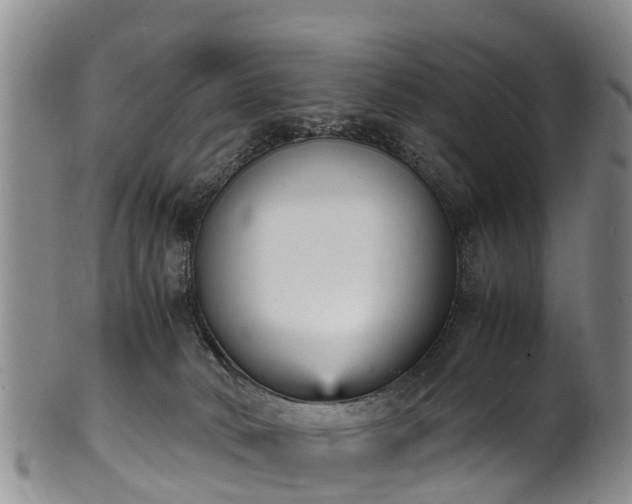 X0000102370034200808081202