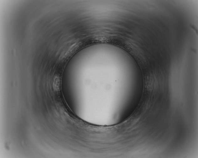 X0000102370036200808081202