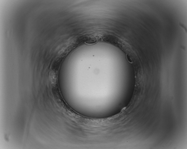 X0000102370037200808081202