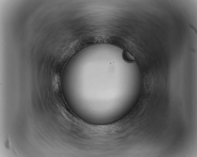 X0000102370038200808081202