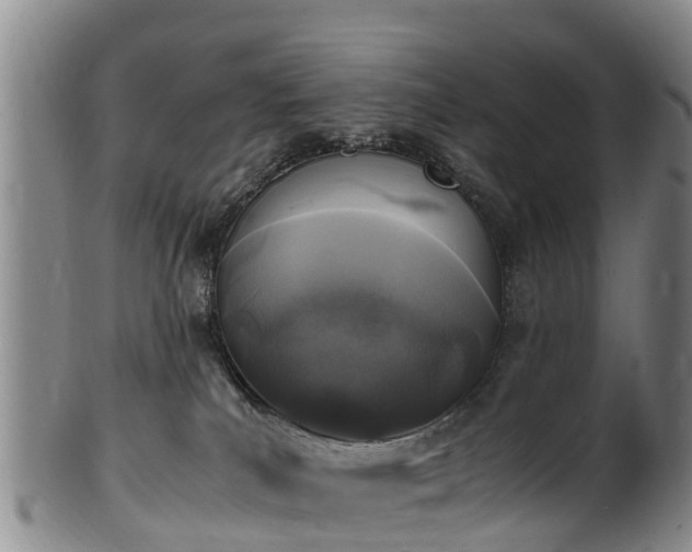 X0000102370039200808081202