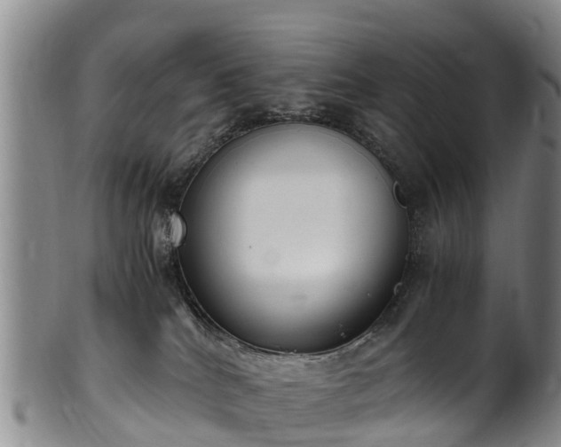 X0000102370040200808081202