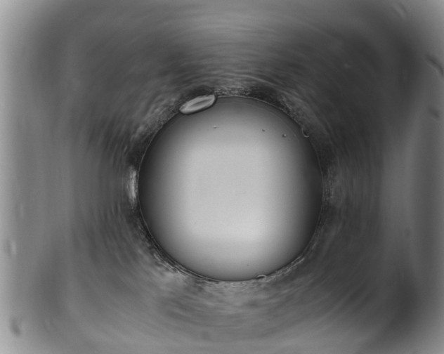 X0000102370041200808081202